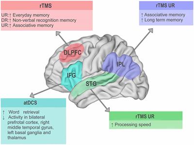 Frontiers | Non-Invasive Brain Stimulation: A New Strategy in Mild